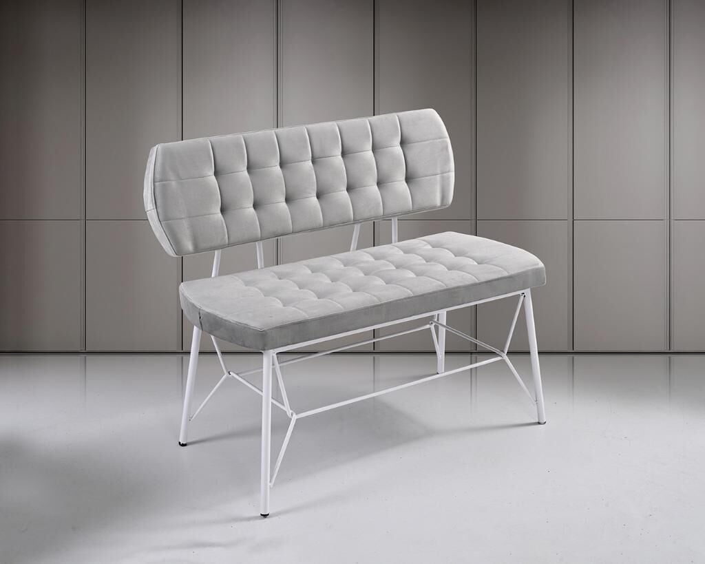 Gözde Beyaz Sırtlı Benç HDR1322