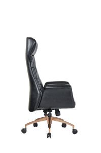 Leonardo Yönetici Koltuğu FSM1454