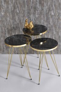 Zigon Sehpa Ve Orta Sehpa Kr Set Gold Bendir Tel