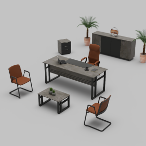 Lara 2 Ofis Masa Takımı CLN1030