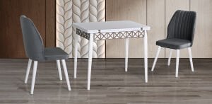 MD Masa Sandalye Takımı GKR1038
