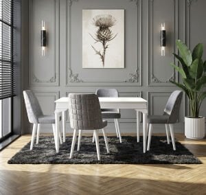 Avangart Beyaz Masa & Damalı Sandalye Takımı HDR1219