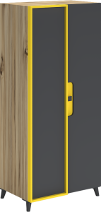 Simirna 2 Kapılı Genç Odası Takımı WD10131