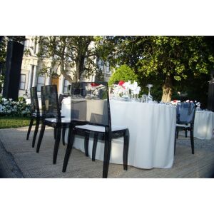 Class-X Füme Transparan Mutfak Sandalyesi PPT1012