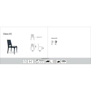 Class-XC Füme Transparan Mutfak Sandalyesi PPT1015