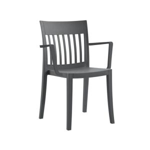 Eden-K Antrasit Kollu Mutfak Sandalyesi PPT1024