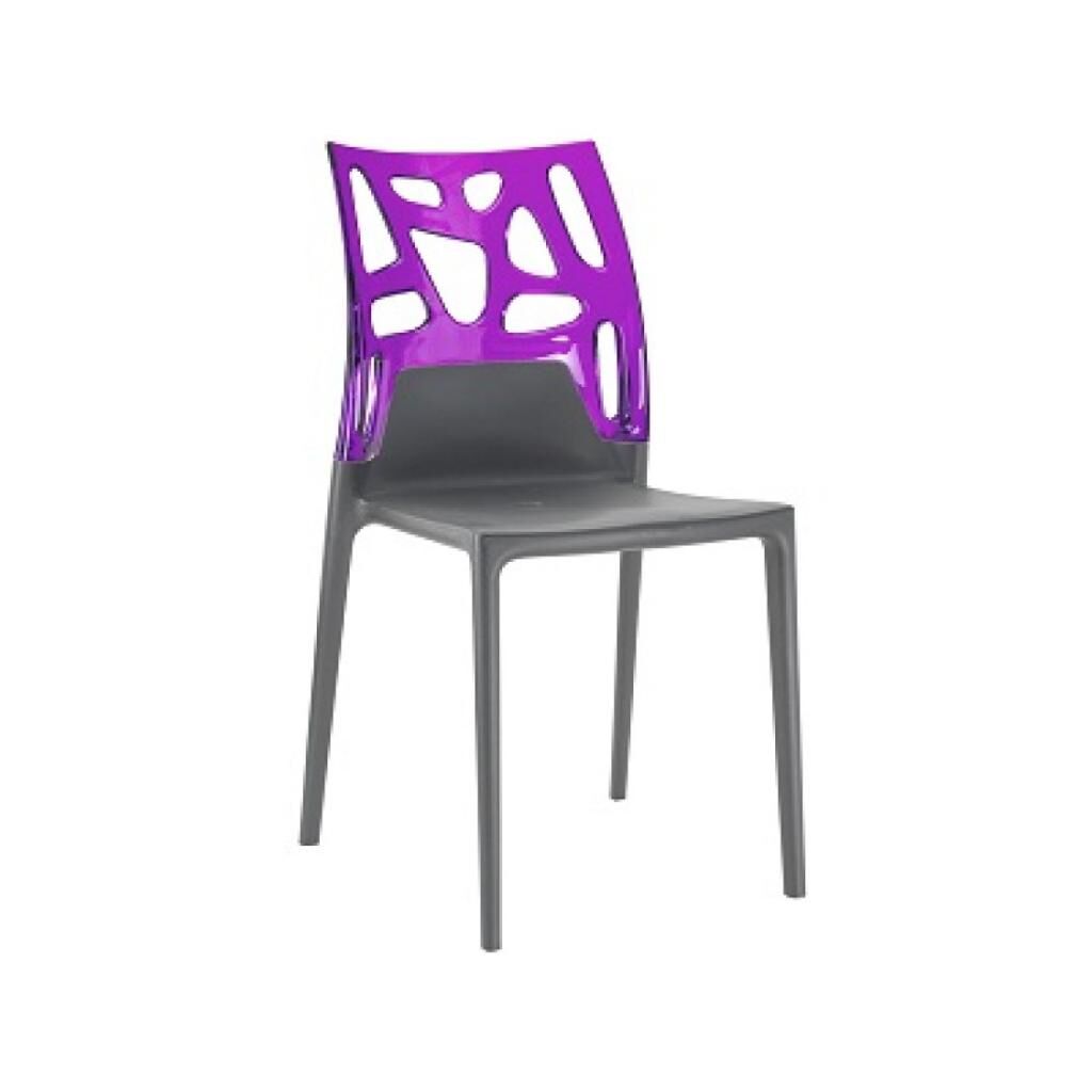 Ego-Rock Mor Transparan - Antrasit Mutfak Sandalyesi PPT1049