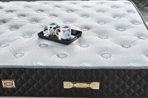 Borjan 100X200 Tek Kişilik Yatak, Baza, Başlık Seti EY2008