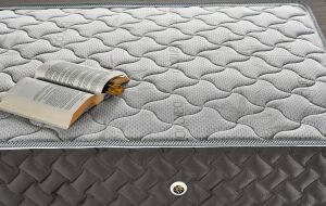 İnci 120X200 Tek Kişilik Yatak, Baza, Başlık Seti EY2011