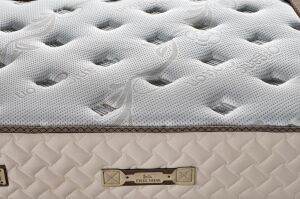 Gold 90X200 Tek Kişilik Yatak, Baza, Başlık Seti EY2018