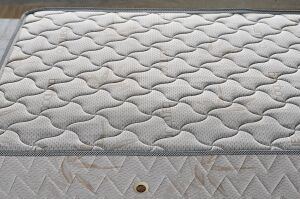 Plus 120X200 Tek Kişilik Yatak, Baza, Başlık Seti EY2024