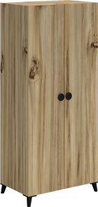 Dolunay 2 Kapılı Aynalı Dolap WD29020