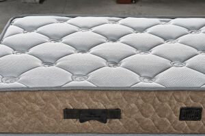 Sofia 100X200 Tek Kişilik Yatak, Baza, Başlık Seti EY2026