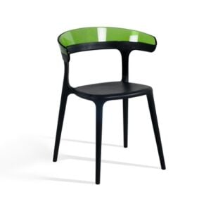 Luna Yeşil Transparan - Siyah Mutfak Sandalyesi PPT1249