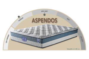 Aspendos 100 x 200 Tek Kişilik Yatak CB3011
