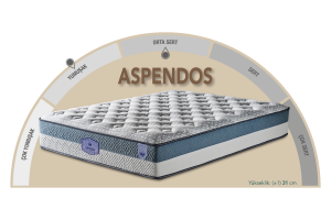 Aspendos 120 x 200 Tek Kişilik Yatak CB3011