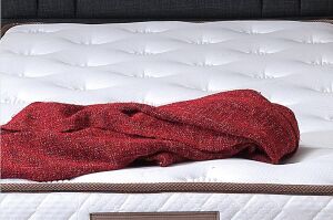 Costa 150x200 Çift Kişilik Yatak PV1001