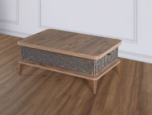 Akıllı Sehpa Antrasit-Atlantik Çam TN0529