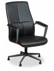 Slim Yönetici Koltuğu FSM1235