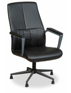 Slim Yönetici Koltuğu FSM1235