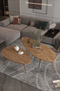 MD Elips Orta Sehpa Seti Suntalam Kahverengi 116x46