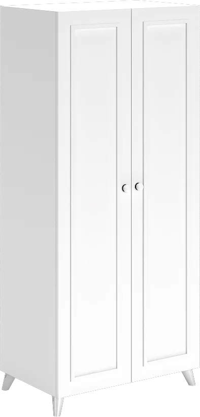 Hanzade 2-Door Cabinet